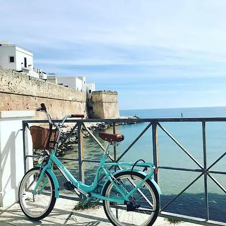 Casa E Bottega