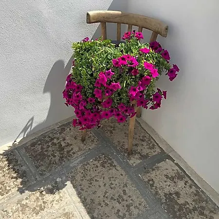 Casa E Bottega 3*